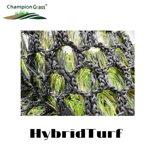 HybirdTurf