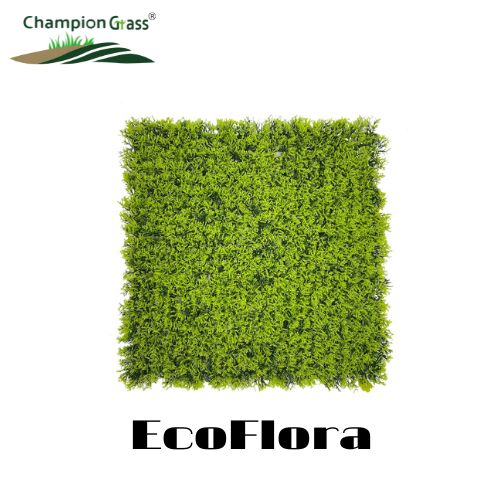 EcoFlora