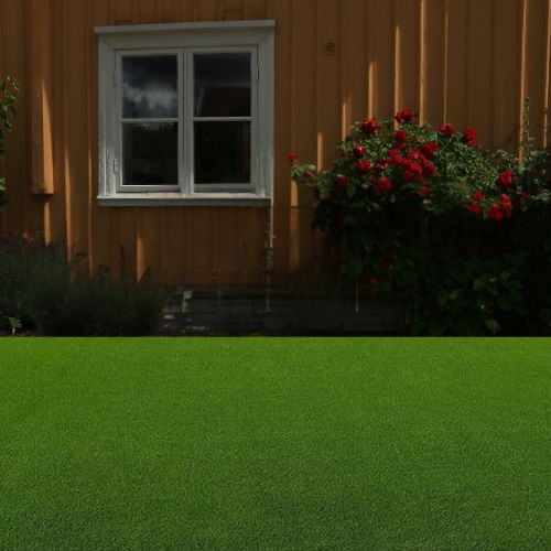 Landscaping Grass