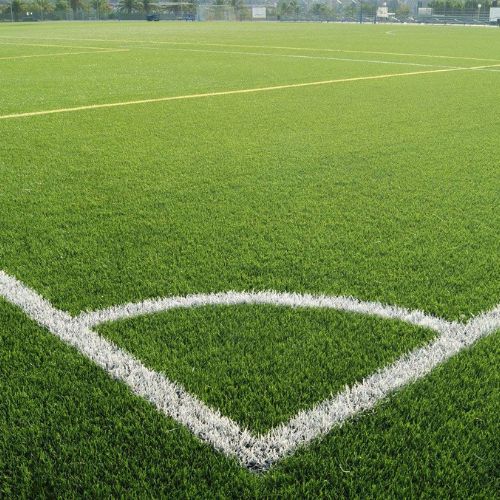 Football Grass