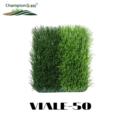 VIALE-50