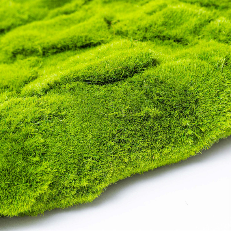 Artificial moss wall with a natural look
