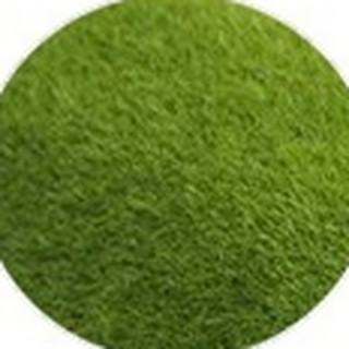 Flat surface artificial moss texture