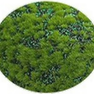 Green dot base artificial moss texture