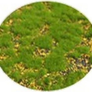 Yellow dot base artificial moss texture